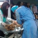 축협동물병원 이미지