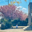 선흘1리경로당 이미지