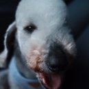 랄라펫살롱 이미지