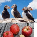 왕궁주유소 이미지