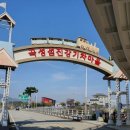 소망농장 | [곡성 여행] 🚂섬진강 기차마을 가을 후기: 입장료, 핵심 놀거리(기차/레일바이크) 정보 총정리(1)!