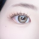 인형속눈썹&타투아카데미