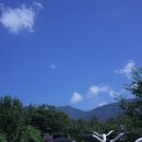 구재봉자두중서 이미지