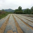 지리산산청와송