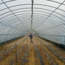 청해농장 이미지