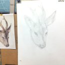 수채 드로잉 이미지