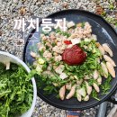 둥지캠핑장 | 원주 맛집 까치둥지 포장 후 캠핑장에서 먹은 찐 후기