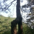 사기막리 이미지