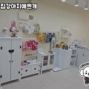 우리집강아지예쁘개 네이버블로그