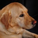 365중앙약국 이미지