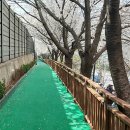 중랑천 산책로 이미지