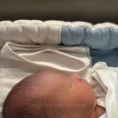 초원유치원 이미지