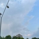 박콧털 | 별종 취향 저격! 넷플릭스 웬즈데이 팀 버튼 행사 솔직 후기