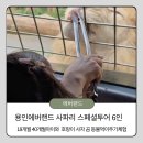 서용인영업소 화장실 | 용인 에버랜드 40개월 아이랑 스폐셜사파리투어 7월 다녀온 생생후기