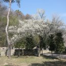 정방사 소장 조선글화엄경 | 완주 종남산 송광사(完州 終南山 松廣寺).전북