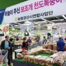 세종할인마트 이미지