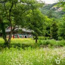 봉래모텔 | 굽이굽이 이어진 신비의 숲, 부안 봉래구곡