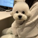 베스트프렌드 동물병원 이미지