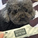 예지사료 이미지