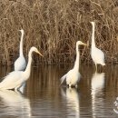 철새마을도서관 이미지