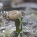 송현이네바지락칼국수