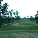 R&T GOLF Daum카페