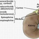 나아라 동물병원 이미지