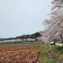 달산팜