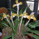 (주)금화 이미지