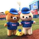 스테이골드(staygold) 이미지