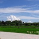 탑골농장 이미지