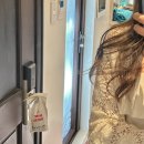 로제트힐 | 보홀 여행 준비 총정리 ✅체크리스트 ✅투어 종류 ✅3박4일 여행 계획 일정