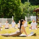 디자인짐 이미지