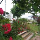 바닷가하얀집 이미지