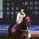 로얄더비파크 이미지