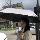 남면당구장 네이버블로그