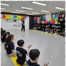 용인대 수 태권도장 이미지