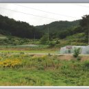 정선동강테라스민박 이미지