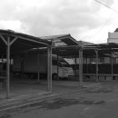 성산오일시장 이미지