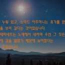 전정호농장 이미지