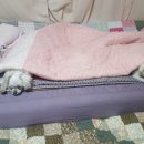 꼬치주까 이미지