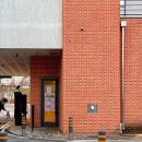 블라썸 캣 이미지