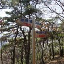 정읍북초등학교 이미지