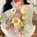 라즈벨로플라워