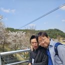 더봄캠프