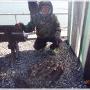 등대바다낚시터 이미지