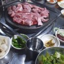 꿀돼지뒷고기