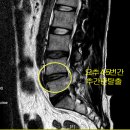 행정사 이의 사무소 이미지