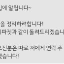 토론토 캣 이미지