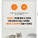 오냥오냥 고양이호텔 이미지